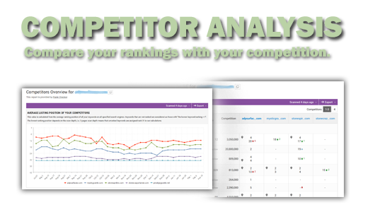 search engine advertising