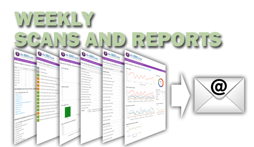 search engine marketing